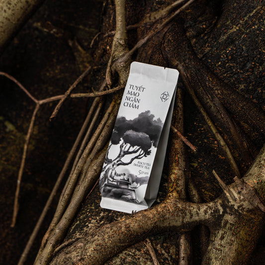 Tuyết Mao Ngân Châm - Bạch Trà Pha Ấm - 60g