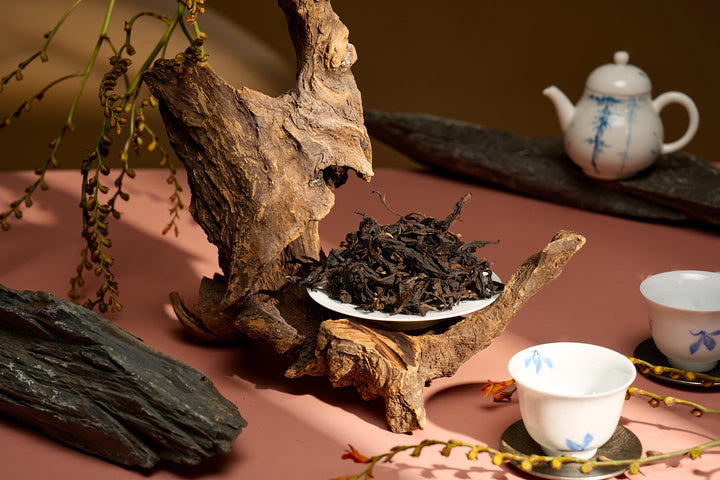 Lão trà là gì? Khám phá nghệ thuật "sao lửa" và giá trị của Hồng trà lưu trữ 5 năm