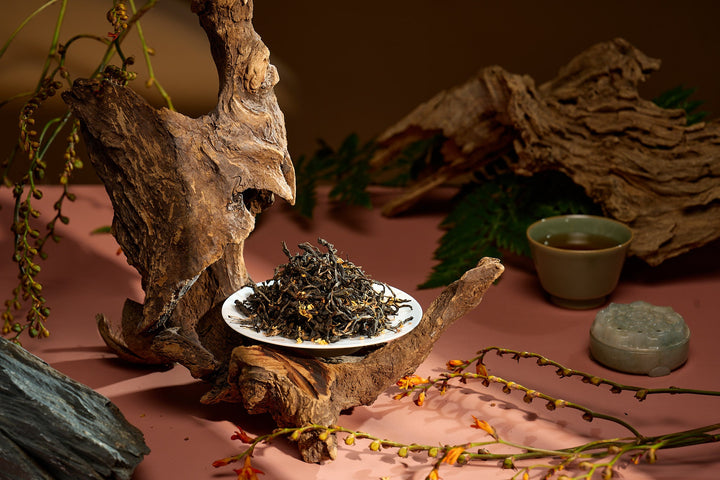 Hồng trà quế hoa là gì? Hương vị, công dụng và vị thế trong dòng trà ướp hương Việt Nam