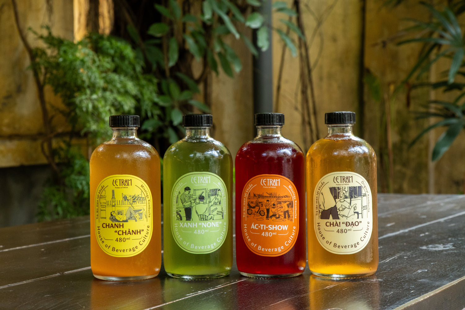 Trà lên men Kombucha